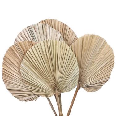 Imagem de Folha De Latânia Natural Envelhecida - Kit Com 5 - Pense Flores