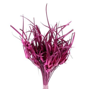 Imagem de Capim Estrela Rosa Desidratado - Tem Flores