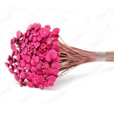 Imagem de Botão Branco Desidratado Sempre Viva Flores Secas Variações - Pense Fl