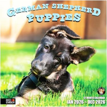 Imagem de RED EMBER Calendário de parede 2026 do pastor alemão Puppies de 12 meses | 30,5 cm x 61 cm aberto | Papel grosso e resistente | Presente | Calendário 2026