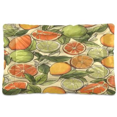 Imagem de Wassud Cama de cachorro com laranja e limão para cães pequenos, lavável, impermeável, para viagem, tapete portátil para gatos com fundo antiderrapante para uso interno e dormir 91 x 61 cm