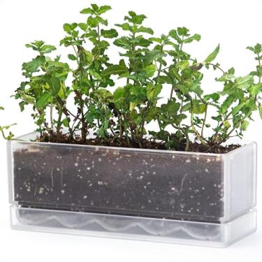 Imagem de D'vine Dev Vaso de caixa de janela de 30,5 cm, plantador de ervas retangular de plástico com orifícios de drenagem e pires, vaso de vegetais de cacto suculento interno para peitoril de janela, varanda