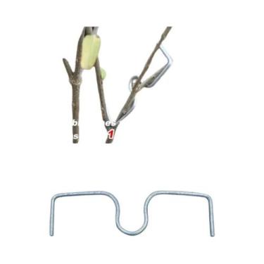 Imagem de Fixador De Galhos De Árvores Frutíferas Tipo M, Dobrador De Ângulo Reu