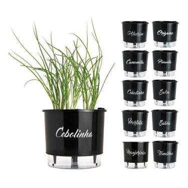 Imagem de Vaso Raiz Auto Irrigável Preto 16cm N3 Autoirrigável Tempero, Cebolinh