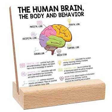 Imagem de Placa de ensino do comportamento do corpo do cérebro humano, presente para professor terapeuta, conselheiro de pais, decoração para sala de tratamento, escritório, escola, sala de aula (brain02)