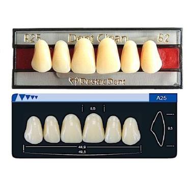 Imagem de Dente Dent Clean Anterior A25 Superior - Imodonto, 62