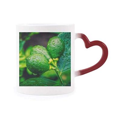 Imagem de Caneca com foto de limão Fresh Fruits sensível ao calor Caneca vermelha que muda de cor