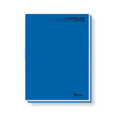 Imagem de Caderno Pedagógico C.D. Brochura 1/4 Quadriculado 1X1cm Azul - Tamoio