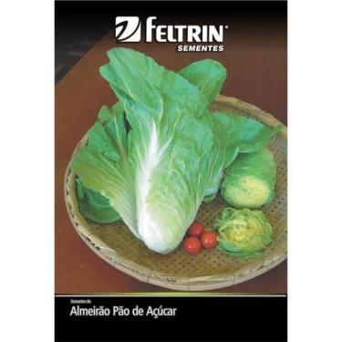 Imagem de Semente Almeirão Pão de Açucar Feltrin Eco, 700 mg