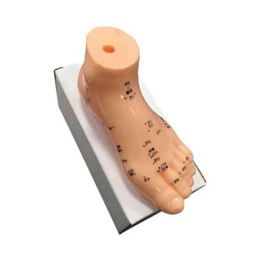 Imagem de Modelo Profissional De Acupuntura Em PVC Em Tamanho Real Para Ensino D