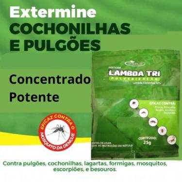 Imagem de Anti pragas insetos, Aranhas, Besouros, Escorpiões, Moscas - Quimiagri