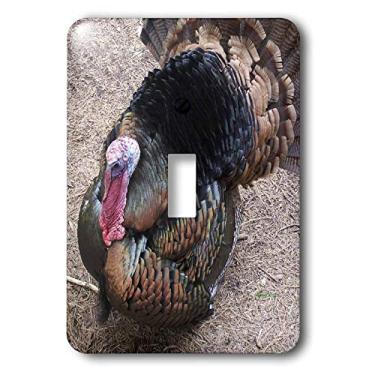 Imagem de 3dRose LLC lsp_20069_1 Wild Turkey - Interruptor de interruptor único