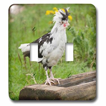 Imagem de 3dRose Interruptor duplo de frango lsp_206515_2 Canadá, Nova Scotia, Fortress of Louisbourg NHS Chicken