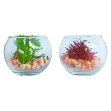 Imagem de Kit 2 Suculentas em Vasos de Vidro Enfeites Para Bancada 5x5cm - Impor