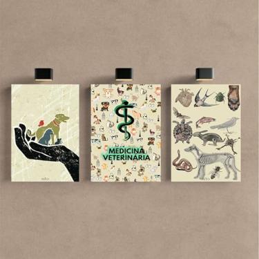 Imagem de Kit 3 Quadro Decorativo Medicina Veterinária Consultório