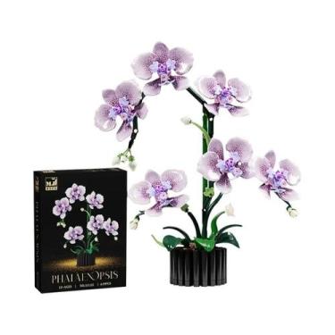 Imagem de Orquídea Cymbidium Phalaenopsis Flores Eternas Em Vaso Blocos De Monta