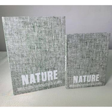 Imagem de Kit 2 Caixa Organizadora Decorativa Home&Co Livro Mdf Verde