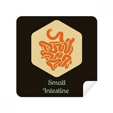 Imagem de Body Organs, óculos pequenos para intestinos, tecido de camurça, 2 unidades