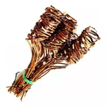 Imagem de Galhos Secos Enrolados Vime Vine Arranjo Desidratado Buque - FLORA FUL