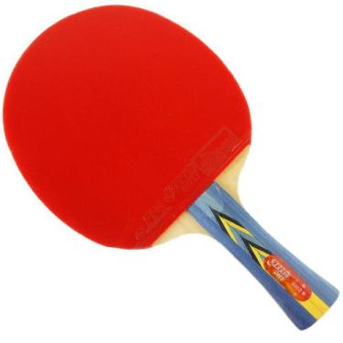 Imagem de Raquete Ping-Pong Tênis de Mesa DHS 3002 3 Estrelas Clássica - Tacolân
