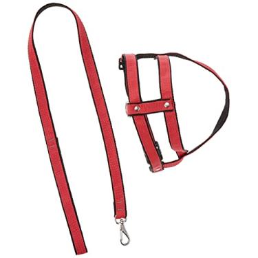 Imagem de PROCANINE Cj. Guia/Peitoral Nylon Duplo N.5 20Mm