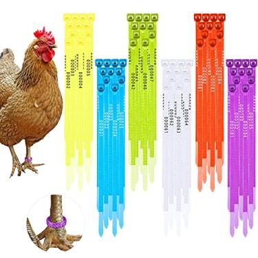 Imagem de Shappy 120 peças de faixas de perna de frango coloridas de peru pato de peru identificação de aves numeradas anéis de tornozelo fluorescentes de animais a granel para fazenda, frango, peru, pato,