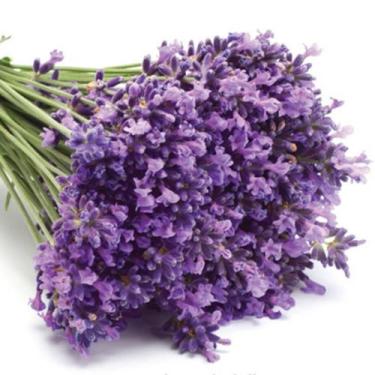 Imagem de Essência New Lavanda 100ml - Casa das Essências SS