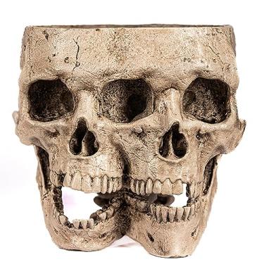 Imagem de Kobi & Knight Vaso de crânio para plantas de interior - Vaso de flores de caveira em caixa de presente - Vaso gótico para suculentas, cactos cerebrais - Plantadores de crânio duplo para Halloween, decoração de casa gótica