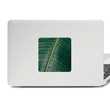 Imagem de Imagem de planta de banana, folha de banana, decalque de vinil Paster, laptop, decoração de policarbonato