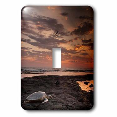 Imagem de 3dRose lsp_191013_1"EUA, Havaí, Baía de Honokohau, Tartaruga verde se move em direção ao oceano único interruptor de alavanca