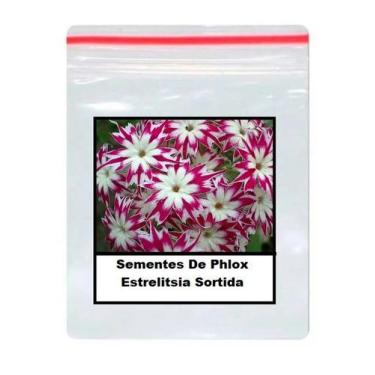 Imagem de 50 Sementes De Phlox Estrelitsia Sortida - ISLA
