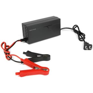 Imagem de Carregador de bateria 12V5ALiFePO4