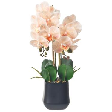 Imagem de WishTip Orquídeas artificiais em vaso de cerâmica 47 cm Orquídea sintética Phalaenopsis Arranjo de flores para mesa de escritório em casa, decoração de interiores, champanhe