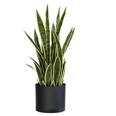 Imagem de Plantas falsas árvore artificial simulação árvore artificial sala de estar escritório mesa decoração em vaso estilo nórdico plantas artificiais plantas artificiais interior exterior, 82 cm