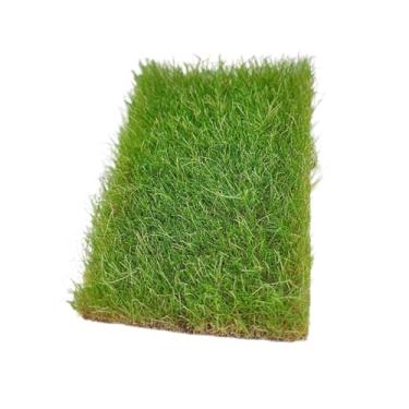 Imagem de MotiveTech Modelo de Tufo de Grama, Grupos de Vegetação, Layout Ferroviário, Aglomerados de Grama em Miniatura para Construir, Primavera Verde, Tamanho real