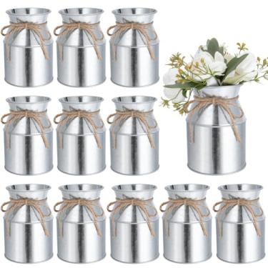 Imagem de DELORIGIN 12 peças de vasos de flores de metal para casa de fazenda, 9,4 cm, vaso rústico para leite, vintage, para casa de fazenda, casa, casamento, sala de jantar, mesa decorativa de outono (prata)