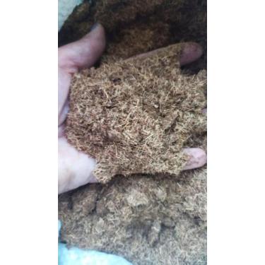 Imagem de Substrato para plantas "Fibra de coco" 2 litros - Suculentas e Cia 