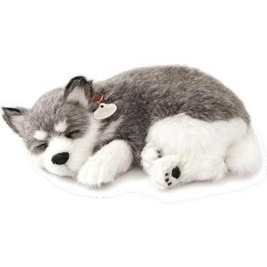 Imagem de Perfect Petzzz  filhotes  Cachorro Husky Siberiano Imex