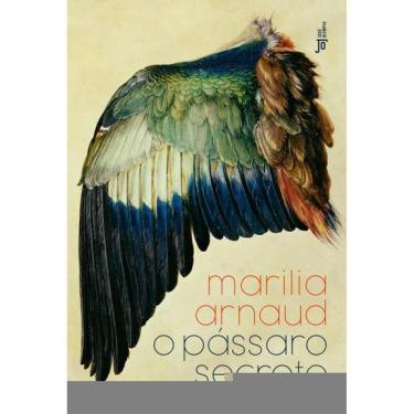 Imagem de O Pássaro Secreto