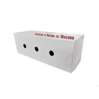 Imagem de Caixa P/ Transporte De Pássaros Papel Christino Grande 10un