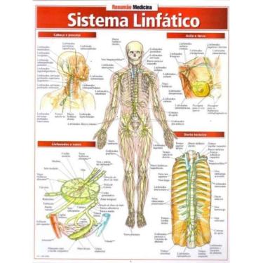 Imagem de Resumão Medicina - Sistema Linfático