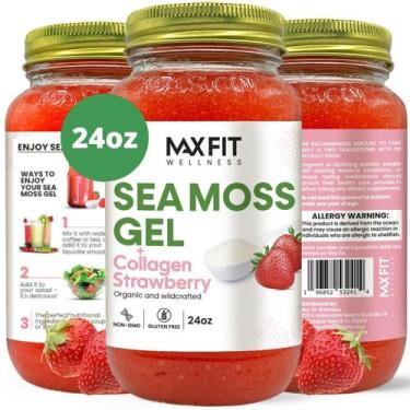 Imagem de Gel de Musgo Marinho Orgânico MAX FIT - Cru - 700ml - Santa Lúcia