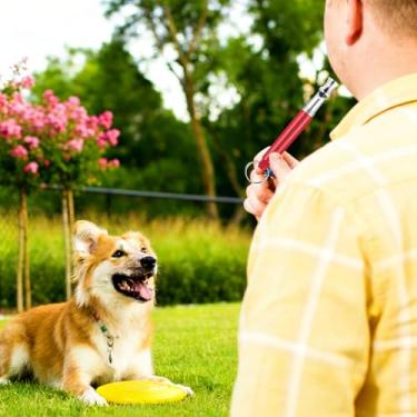 Imagem de Apito silencioso ajustável para cães, ferramenta de treinamento ultrassônico de alta frequência para obediência de animais de estimação, treinador profissional de várias frequências (vermelho)