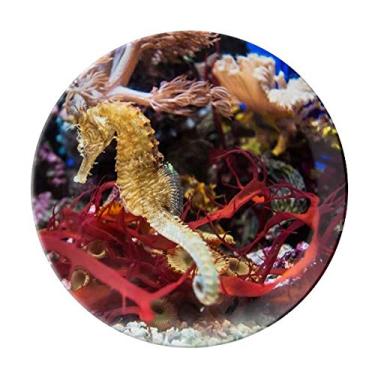 Imagem de Prato de água oceano profundo azul hipocampo decorativo de porcelana salver louça de jantar