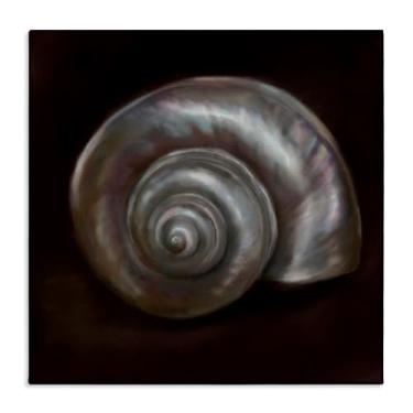 Imagem de Stupell Industries Arte de parede em tela Spiral Treasure Of Sea, design de Mary Sparrow, 61 x 61 cm