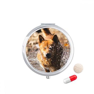 Imagem de Caixa de comprimidos para fotografia de animais japonesa com bolso para remédios