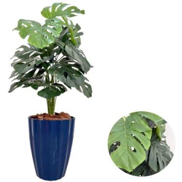 Imagem de Costela de Adão Artificial Com Vaso Facetado Moderno Casa - PlantaImpo