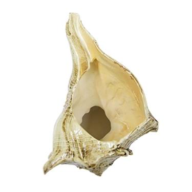 Imagem de DOITOOL 1 Unidade Vaso de flores Avalokitesvara decoração de casa mini vasos de plantas decorações de escritório decoração de escritório decoração vintage decoração de sala