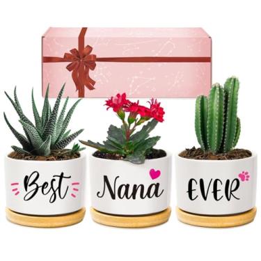 Imagem de AceThrills Presentes de Nana, vasos de suculentas, presentes de aniversário para vovó, presentes de aniversário de netos, melhores presentes de Nana para Dia de Ação de Graças e Natal