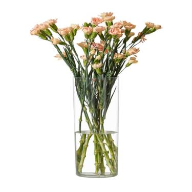 Imagem de RosPynn Vaso de flor, cilindro de acrílico, vaso transparente de 20 cm de altura para centros de mesa, decoração de casamento, decoração de casa, plástico não quebrável, 10 x 19 cm de altura redondo -